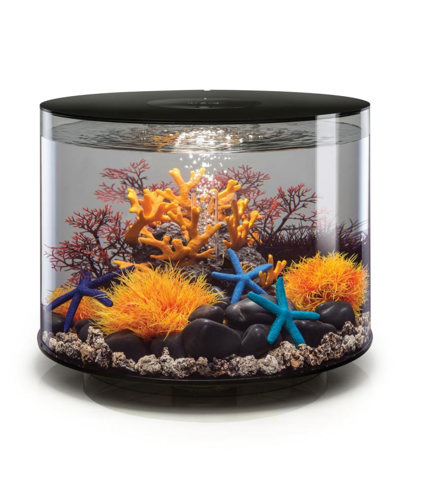 biOrb Aquarium TUBE 35 MCR schwarz